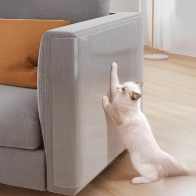 Protection Anti - Griffes Invisible | Griff'Stop Invisible 30 cm / 500 cm - My Little Kat