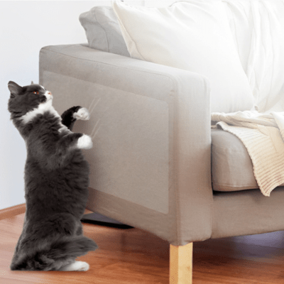Protection Anti - Griffes Invisible | Griff'Stop Invisible 30 cm / 500 cm - My Little Kat