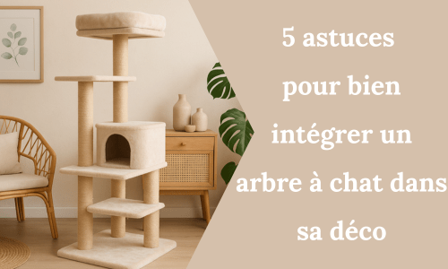 5 astuces pour bien intégrer un arbre à chat dans sa déco - My Little Kat