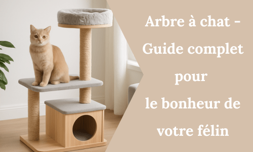 Arbre à chat - Guide complet pour le bonheur de votre félin - My Little Kat
