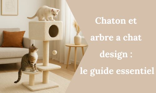 Chaton et arbre a chat design : le guide essentiel - My Little Kat