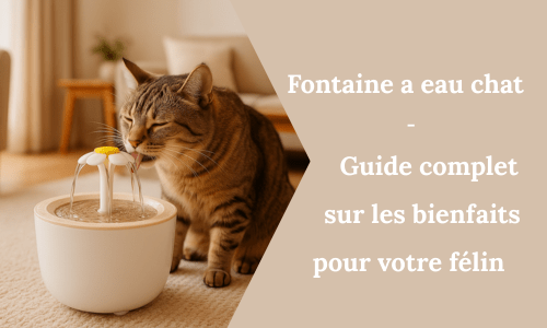 Fontaine a eau chat – Guide complet sur les bienfaits pour votre félin - My Little Kat