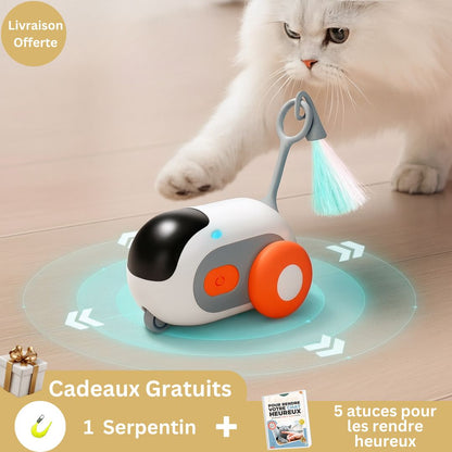 Jouet Interactif Intelligent Chat | MLK SmartChase™