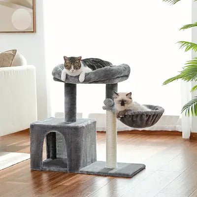 arbre-a-chat-astana-570963