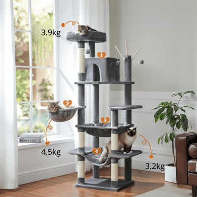 Arbre a Chat Design | Aruba™ Gris - My Little Kat