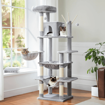 Arbre a Chat Design | Aruba™ Gris - My Little Kat