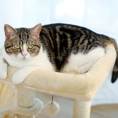 Arbre a chat Design | ATHENE™ Beige - My Little Kat