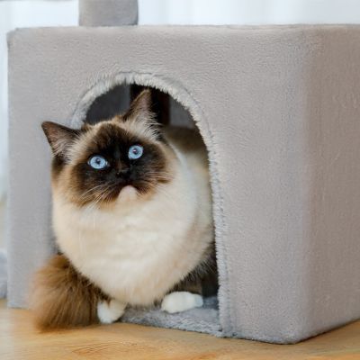 Arbre a chat Design | ATHENE™ Gris - My Little Kat