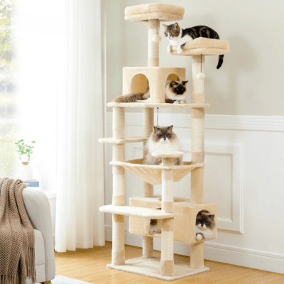 Arbre a Chat Design | SANA™ Beige - My Little Kat
