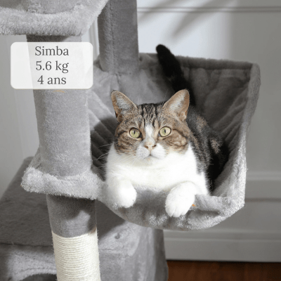 Arbre a Chat Design | SANA™ Beige - My Little Kat