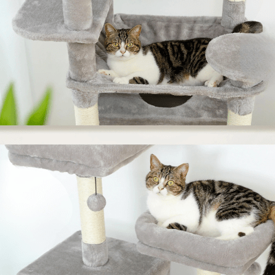 Arbre a Chat Design | SANA™ Gris - My Little Kat