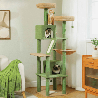 Arbre a Chat Design | SYDNEY™ Vert - My Little Kat