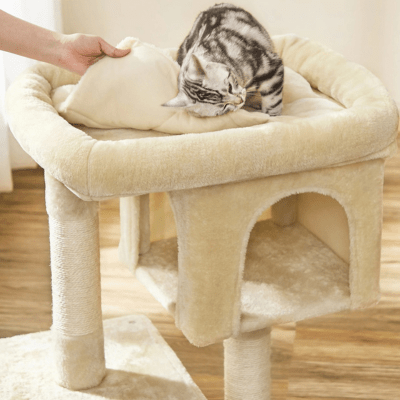 Arbre a Chat Maine Coon | Andréa™ - gris clair - My Little Kat