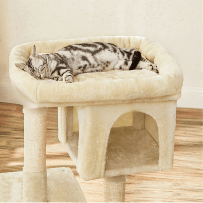 arbre-a-chat-maine-coon-andrea-gris-fonce-398894