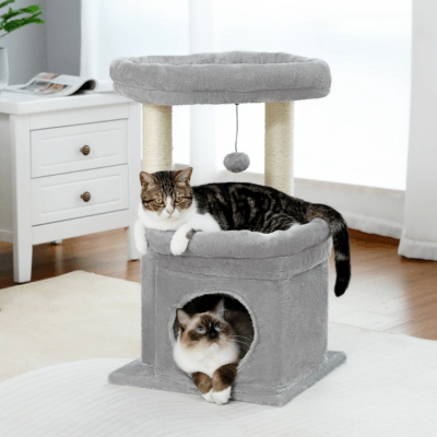 arbre-a-chat-manama-gris-375590