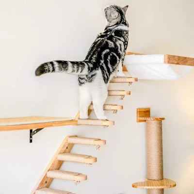 arbre-a-chat-mural-seoul-escalier-x1-995759