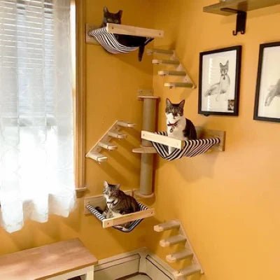 Arbre a Chat Mural | Séoul™ Hamac x1 - My Little Kat