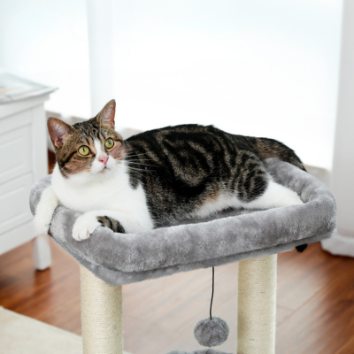 chat-dort-sur-arbre-à-chat