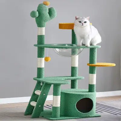 chat-sur-un-arbre-à-chat