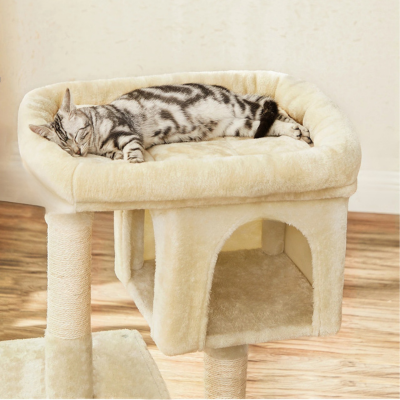 chaton-dort-arbre-a-chat-maine-coon