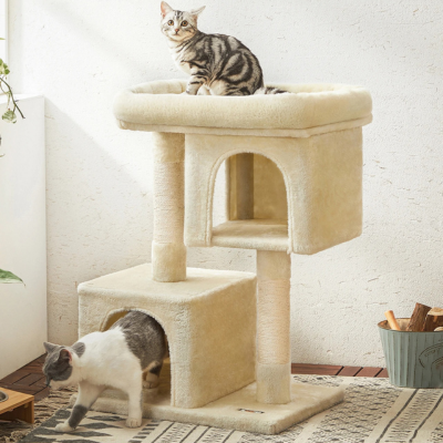 chats-jouent-arbre-a-chat-maine-coon