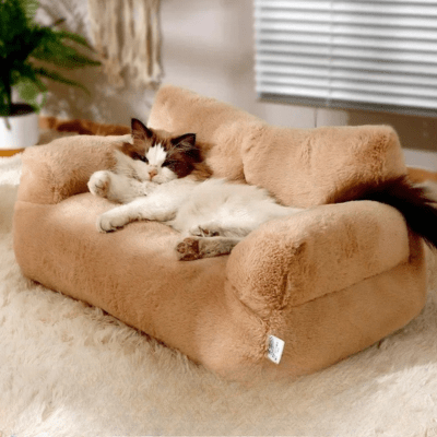 Coussin Chat | Canapé LINA™ Taupe - My Little Kat
