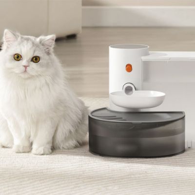 Fontaine a eau chat | CAMELIA™ Sans filtres - My Little Kat