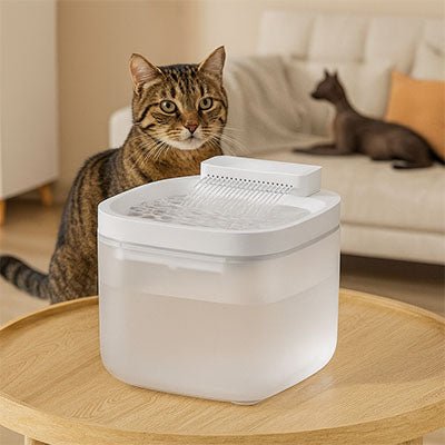 Fontaine a eau chat | GLYCINE ™ Blanche à LED - My Little Kat
