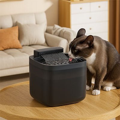 Fontaine a eau chat | GLYCINE ™ Noire à LED - My Little Kat