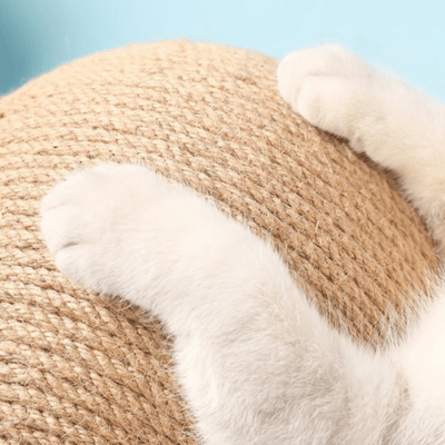 Griffoir à Chat | Chicot™ - My Little Kat