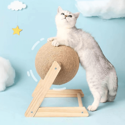 Griffoir à Chat | Chicot™ - My Little Kat
