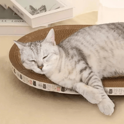 Griffoir à Chat | Cyprés™ Oval - My Little Kat