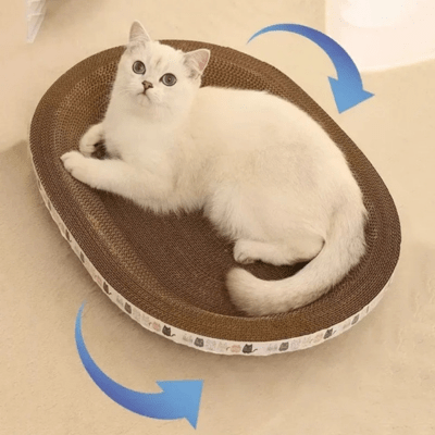 Griffoir à Chat | Cyprés™ Oval - My Little Kat