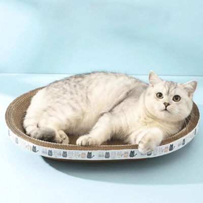 griffoir-a-chat-cypres-rond-143793