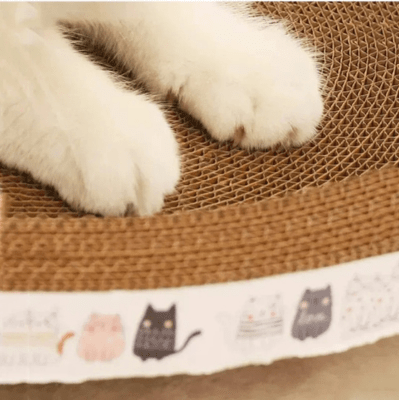griffoir-a-chat-cypres-rond-424227