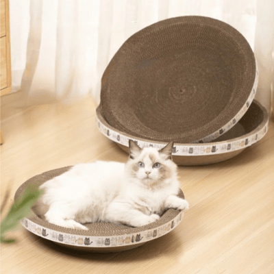 griffoir-a-chat-cypres-rond-451687