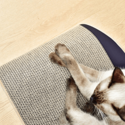 Griffoir à Chat | Hamamélys™ - My Little Kat