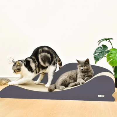 Griffoir à Chat | Hamamélys™ - My Little Kat