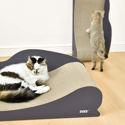 Griffoir à Chat | Hamamélys™ - My Little Kat