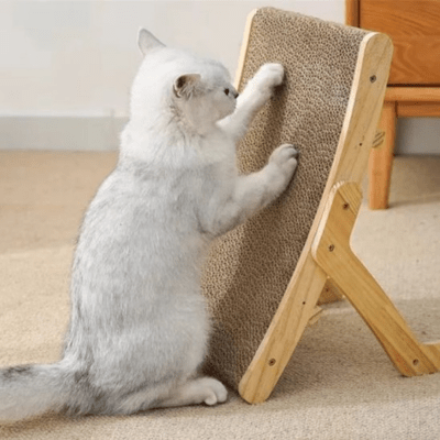 Griffoir à Chat | Picéa™ - My Little Kat