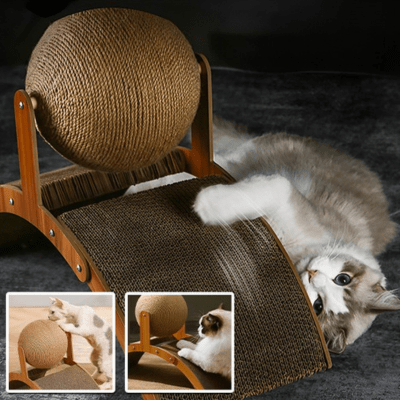 griffoir-chat-cary-373056