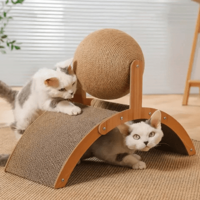 griffoir-chat-cary-395242