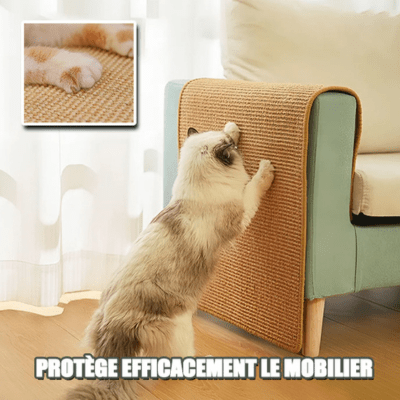 griffoir-chat-douglas-156874