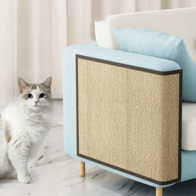 griffoir-chat-douglas-322816