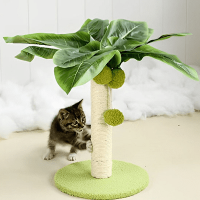 griffoir-chat-palmier-640881