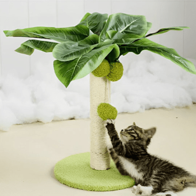 griffoir-chat-palmier-686833