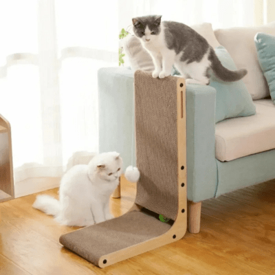 griffoir-chat-sumac-449558