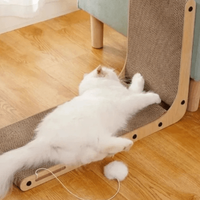 griffoir-chat-sumac-786139