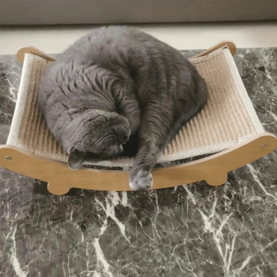 griffoir-chat-tsuga-115532