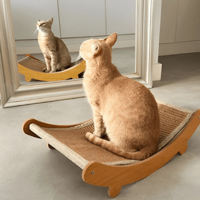 griffoir-chat-tsuga-314322